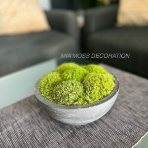 MECHOVÁ DEKORACE - betonová mísa s kopečky