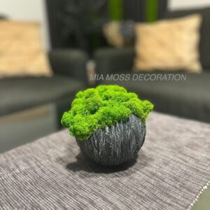 MECHOVÁ DEKORACE - BETONOVÁ SKOŘÁPKA - šedo/štříbrná