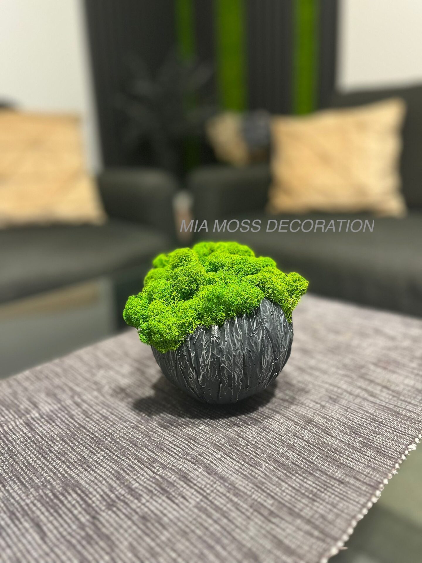 MECHOVÁ DEKORACE - BETONOVÁ SKOŘÁPKA - šedo/štříbrná