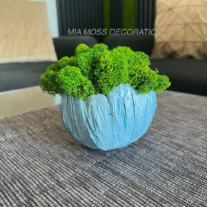 MECHOVÁ DEKORACE - BETONOVÁ SKOŘÁPKA -modro/stříbrná