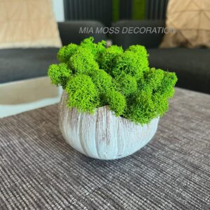 MECHOVÁ DEKORACE - BETONOVÁ SKOŘÁPKA - bílo/růžová