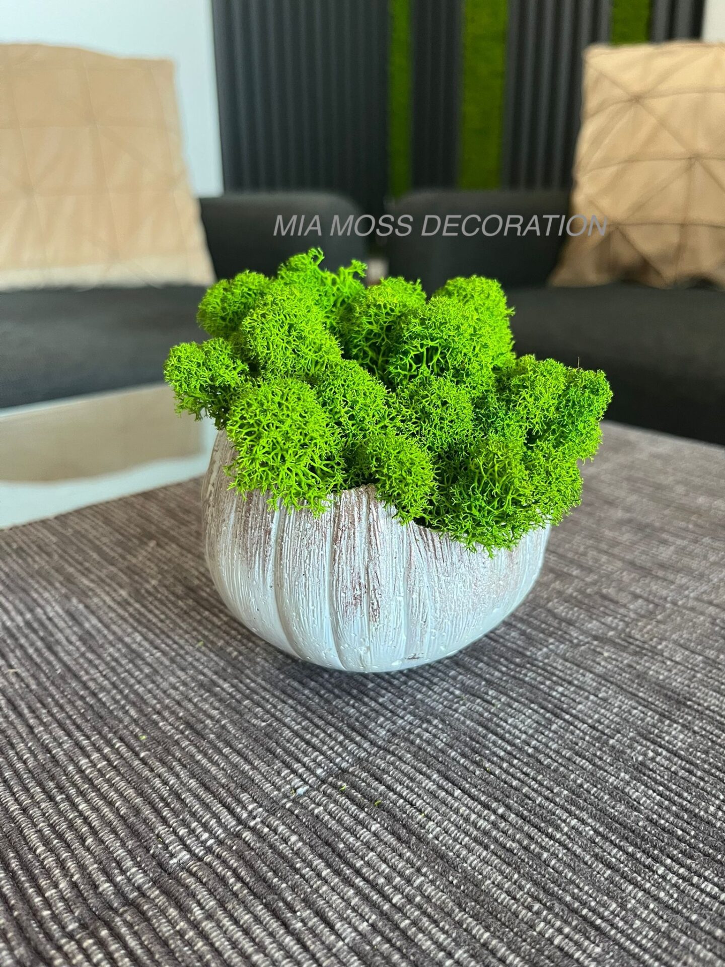 MECHOVÁ DEKORACE - BETONOVÁ SKOŘÁPKA - bílo/růžová