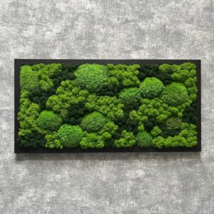 MECHOVÝ OBRAZ 60X30 - kopečkový a sobí mech