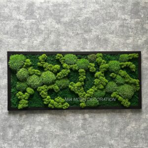 MECHOVÝ OBRAZ 80X35cm - mix mechů