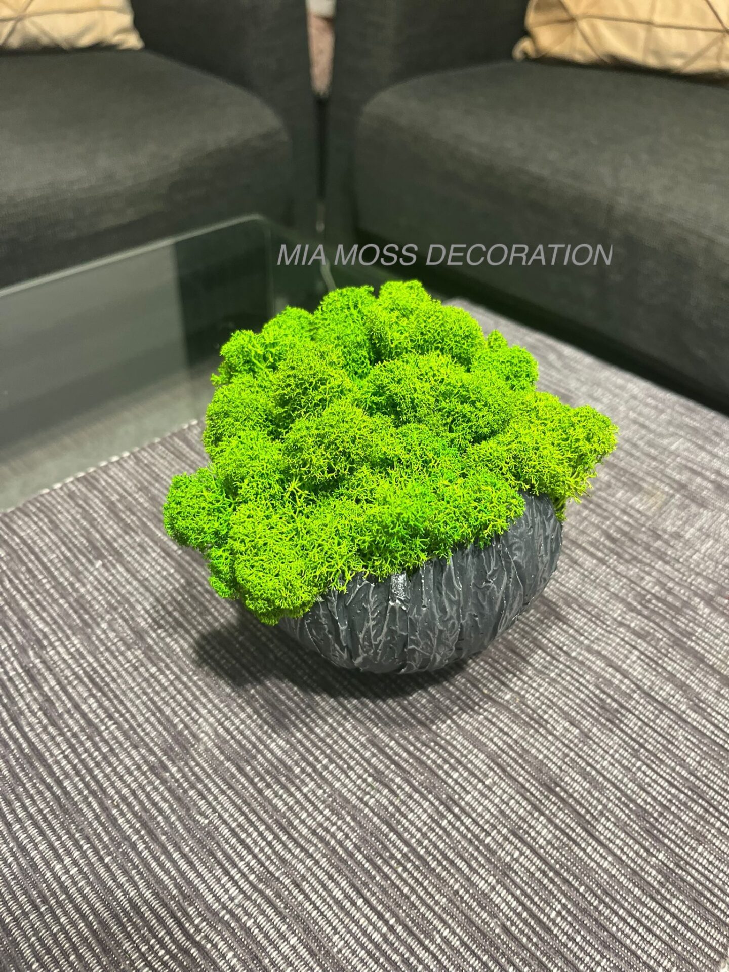 MECHOVÁ DEKORACE - BETONOVÁ SKOŘÁPKA - šedo/štříbrná - Image 2