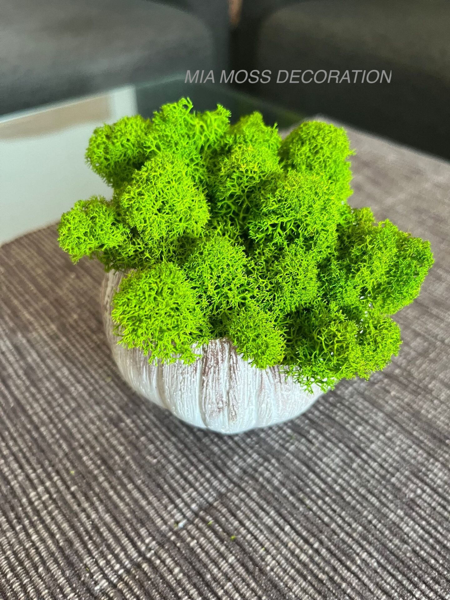 MECHOVÁ DEKORACE - BETONOVÁ SKOŘÁPKA - bílo/růžová - Image 2