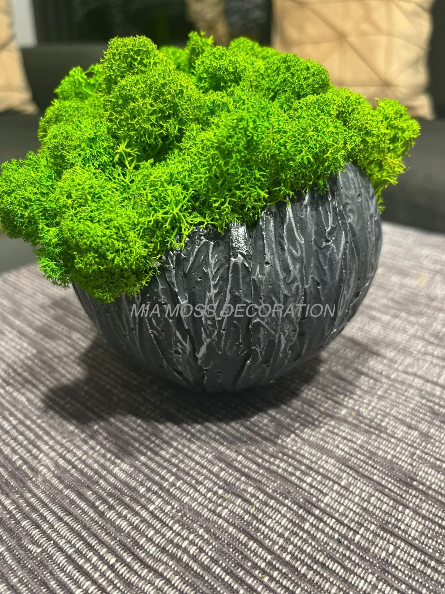 MECHOVÁ DEKORACE - BETONOVÁ SKOŘÁPKA - šedo/štříbrná - Image 3