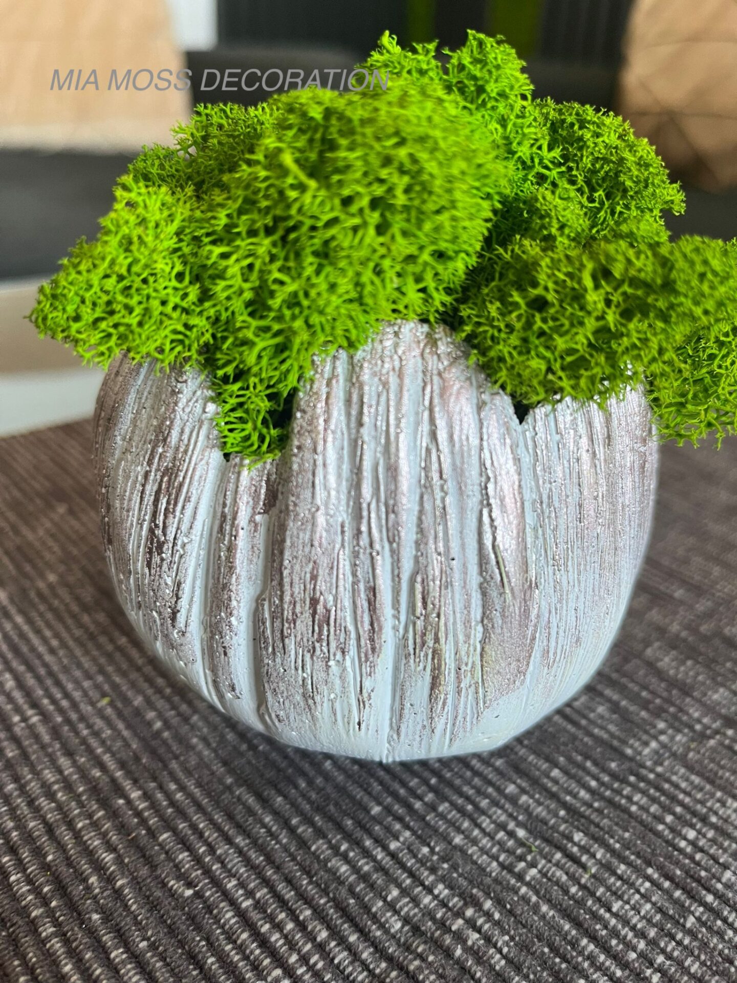 MECHOVÁ DEKORACE - BETONOVÁ SKOŘÁPKA - bílo/růžová - Image 3