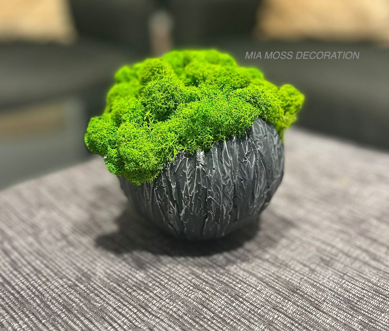 MECHOVÁ DEKORACE - BETONOVÁ SKOŘÁPKA - šedo/štříbrná - Image 4