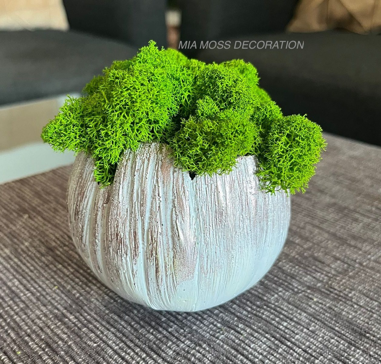 MECHOVÁ DEKORACE - BETONOVÁ SKOŘÁPKA - bílo/růžová - Image 4