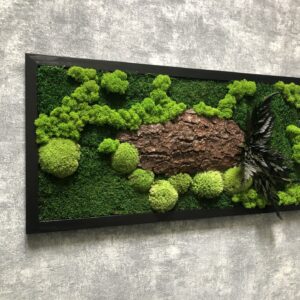 MECHOVÝ OBRAZ 60X30cm - mix mechů