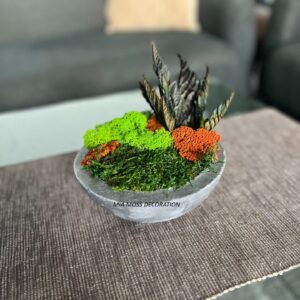 ORIGINÁLNÍ MECHOVÁ DEKORACE - BETONOVÁ MISKA ø 17cm