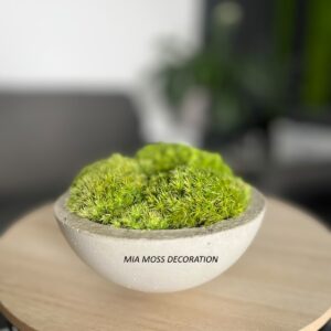 ORIGINÁLNÍ MECHOVÁ DEKORACE - BETONOVÁ MISKA ø 14cm