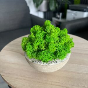 ORIGINÁLNÍ MECHOVÁ DEKORACE - BETONOVÁ MISKA ø 10cm