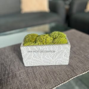 ORIGINÁLNÍ MECHOVÁ DEKORACE - BETONOVÝ KVĚTINÁČ