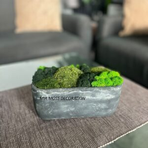 ORIGINÁLNÍ MECHOVÁ DEKORACE - BETONOVÝ KVĚTINÁČ