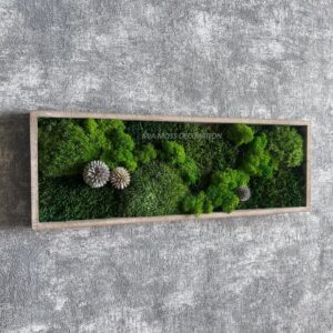 ORIGINÁLNÍ MECHOVÝ OBRAZ 40X14cm