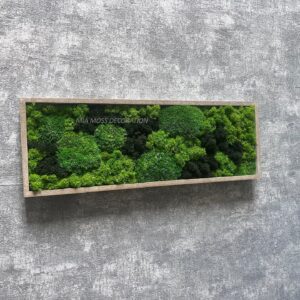 ORIGINÁLNÍ MECHOVÝ OBRAZ 40X14cm
