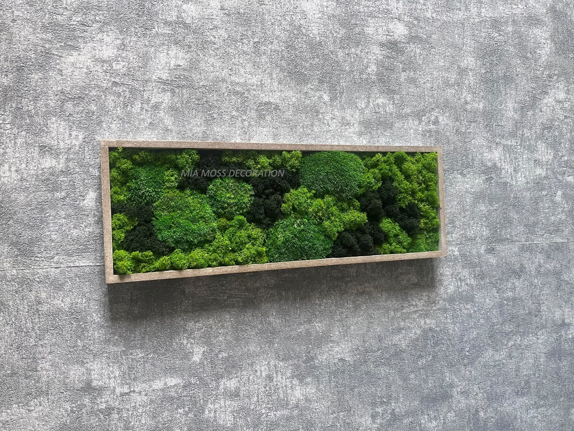 ORIGINÁLNÍ MECHOVÝ OBRAZ 40X14cm