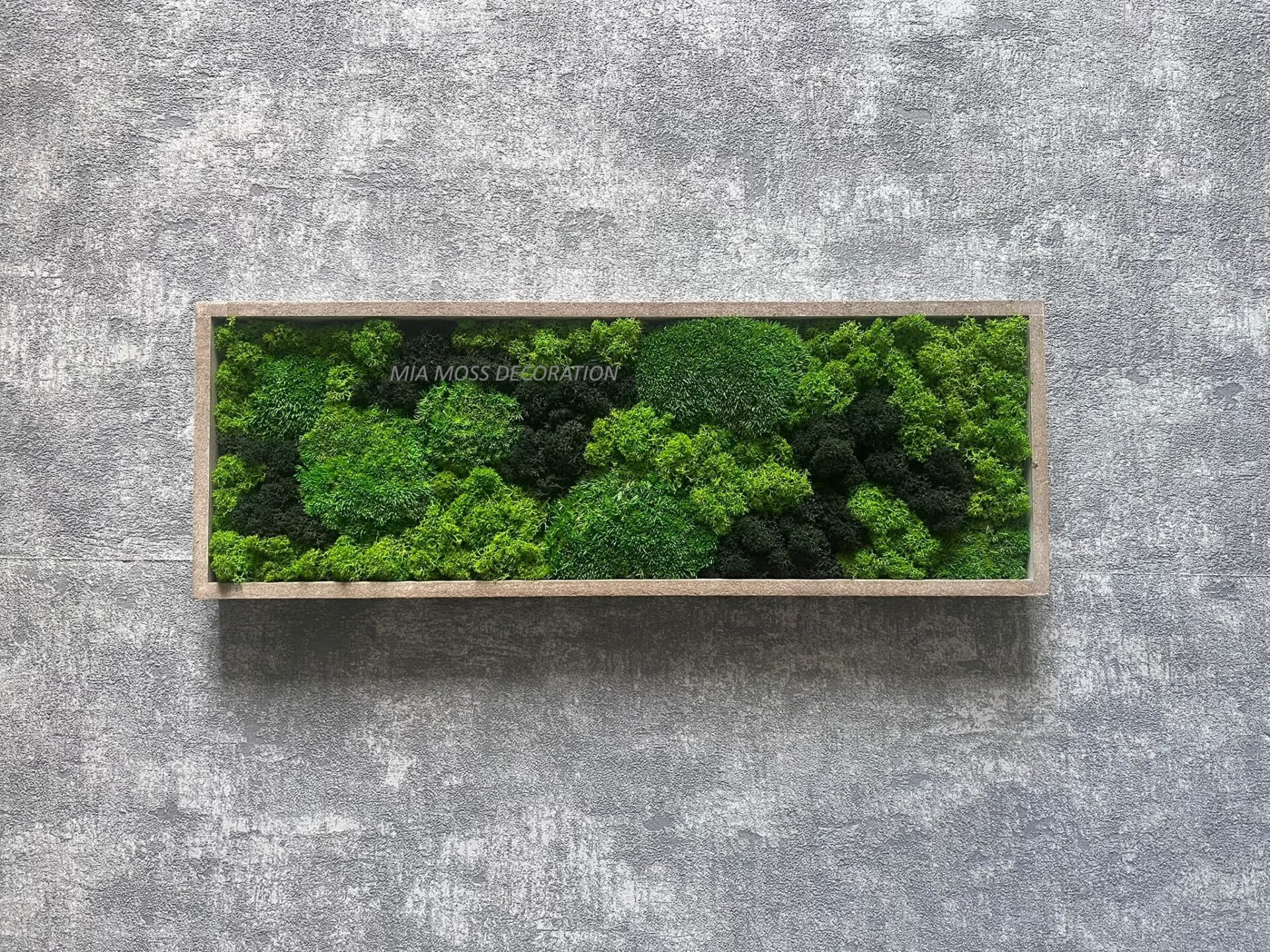 ORIGINÁLNÍ MECHOVÝ OBRAZ 40X14cm - Image 2