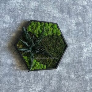 ORIGINÁLNÍ MECHOVÝ  OBRAZ - hexagon 26x26cm