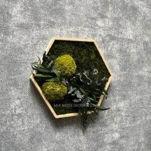 ORIGINÁLNÍ MECHOVÝ  OBRAZ - hexagon 26x26cm