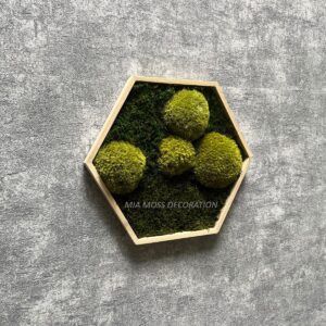 ORIGINÁLNÍ MECHOVÝ  OBRAZ - hexagon 26x26cm