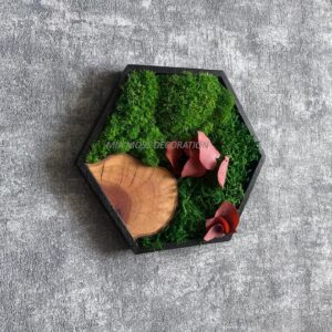 ORIGINÁLNÍ MECHOVÝ  OBRAZ - hexagon 21x21cm