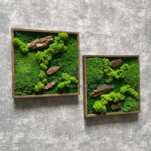ORIGINÁLNÍ MECHOVÝ  OBRAZ - sada 25x25cm