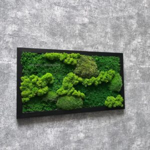 ORIGINÁLNÍ MECHOVÝ OBRAZ 45x25cm