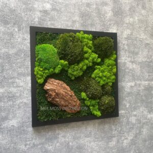 ORIGINÁLNÍ MECHOVÝ OBRAZ 35x35cm